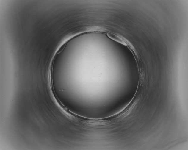 X0000115691391200911191105