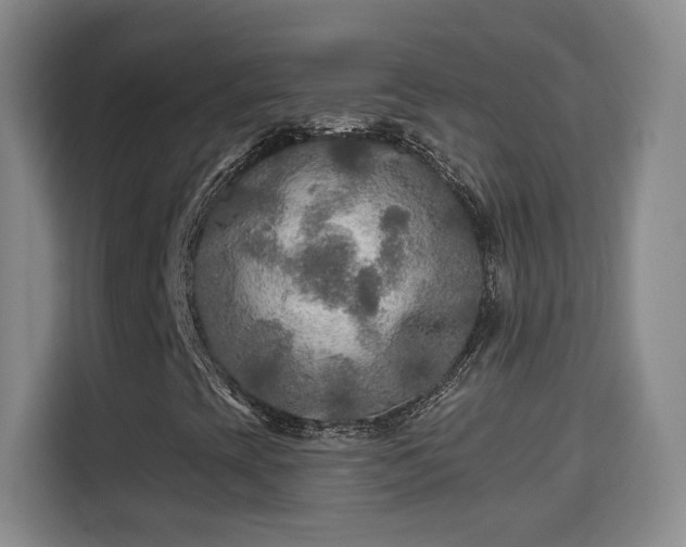 X0000115691393200911191104