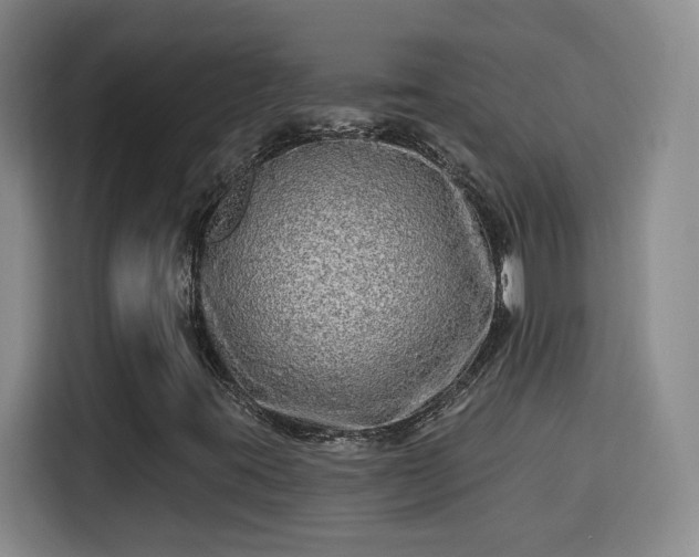 X0000115691395200911191104