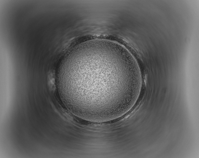 X0000115691396200911191104