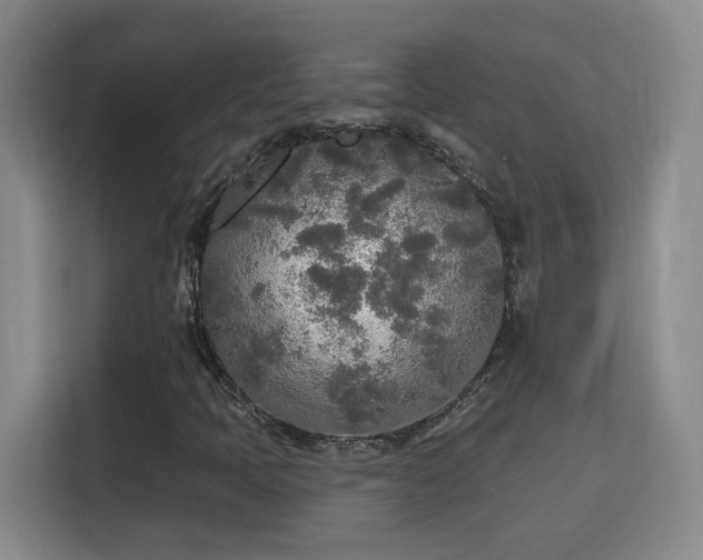 X0000115691397200911191104