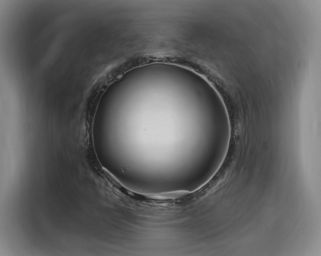 X0000115691398200911191104
