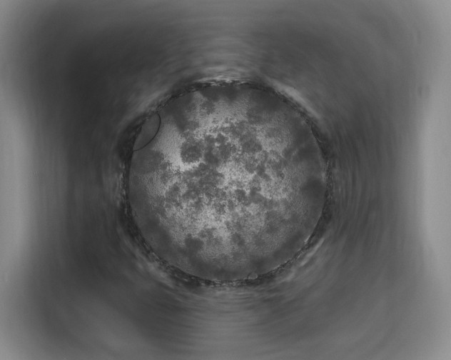 X0000115691399200911191104