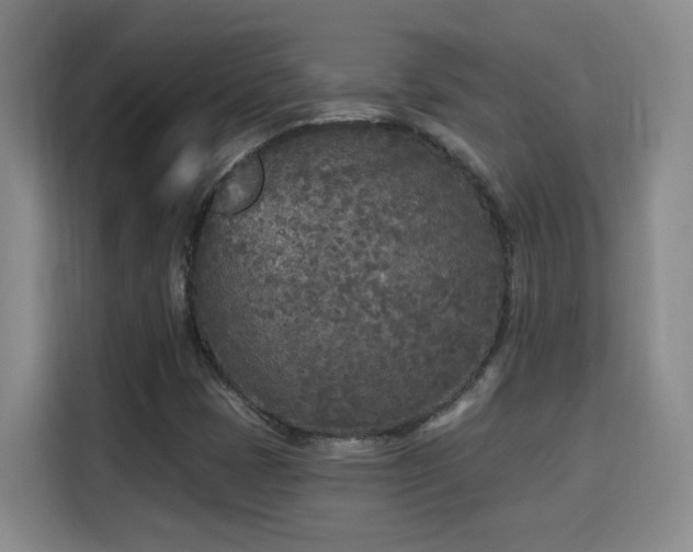 X0000115691401200911191104