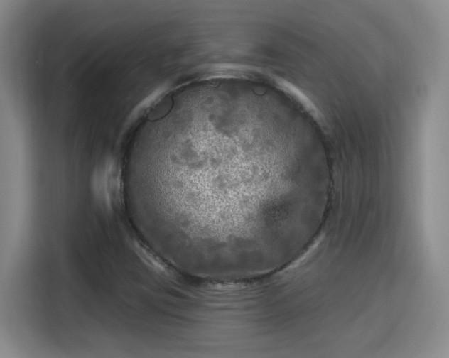 X0000115691403200911191105