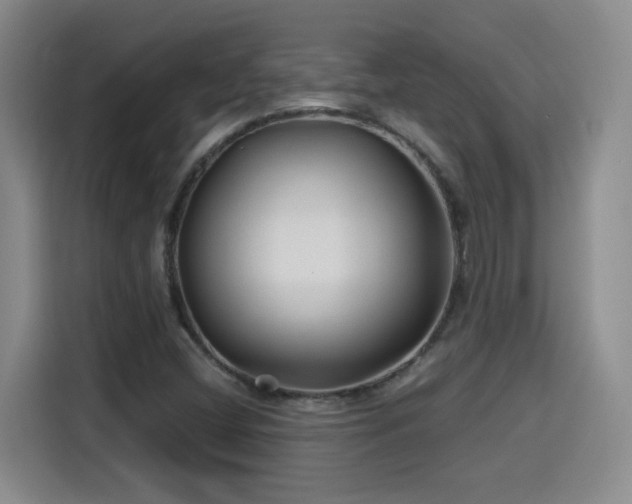 X0000115691404200911191105