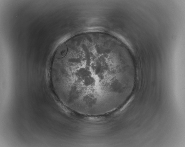 X0000115691405200911191105