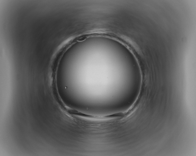 X0000115691406200911191105