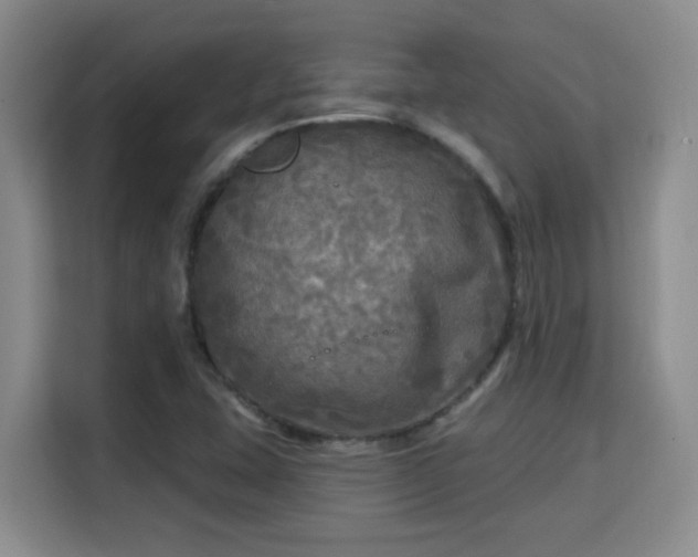 X0000115691407200911191105