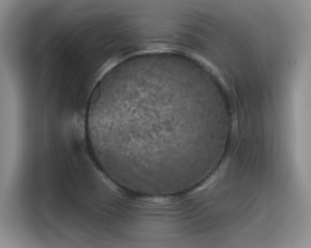 X0000115691409200911191105