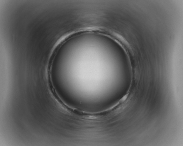 X0000115691412200911191105