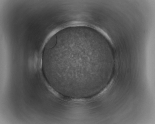 X0000115691413200911191105