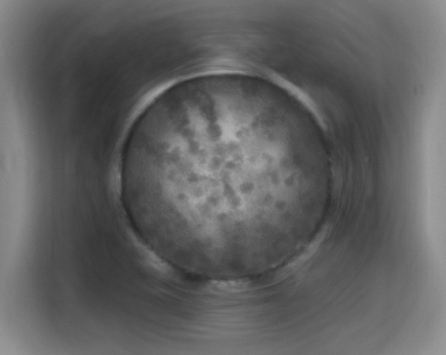 X0000115691415200911191105