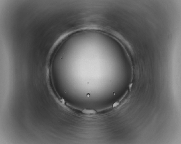 X0000115691416200911191105