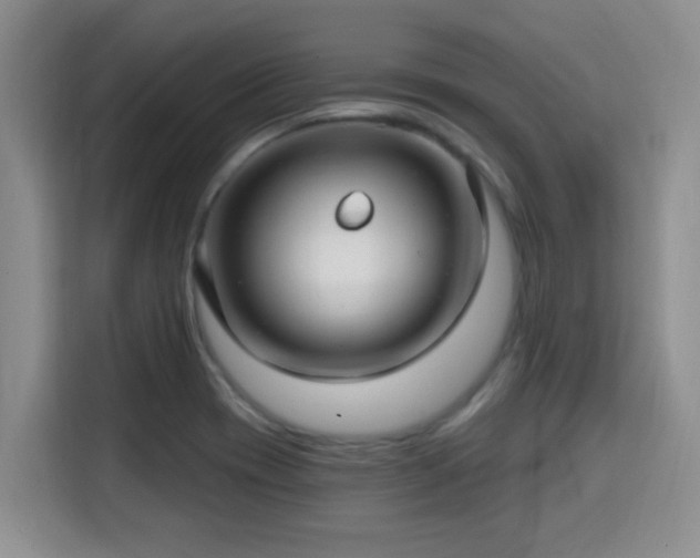 X0000115691417200911191105