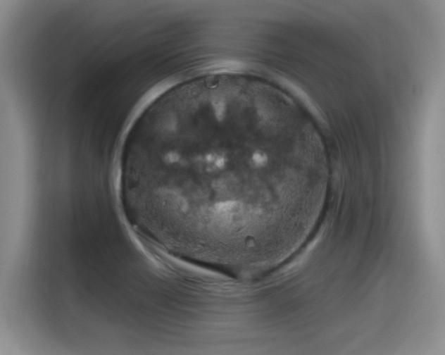 X0000115691418200911191105