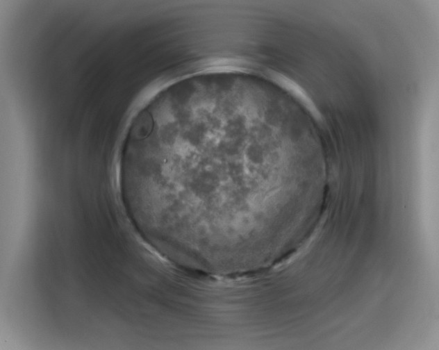 X0000115691419200911191105