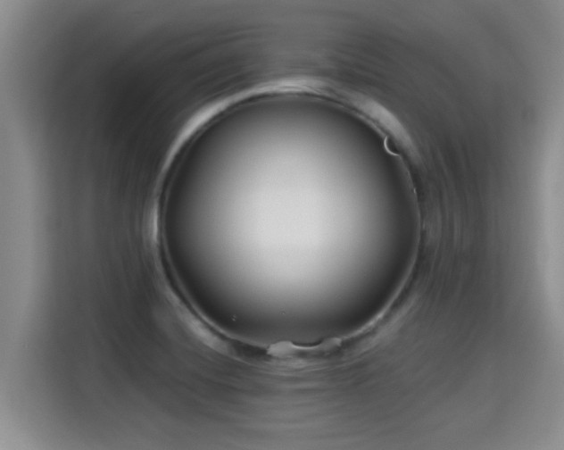 X0000115691420200911191105