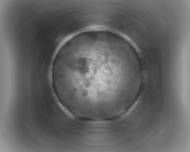 X0000115691421200911191105