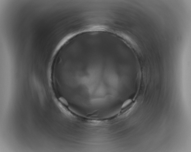 X0000115691422200911191105