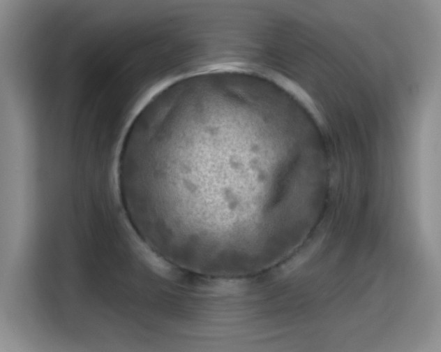 X0000115691423200911191105