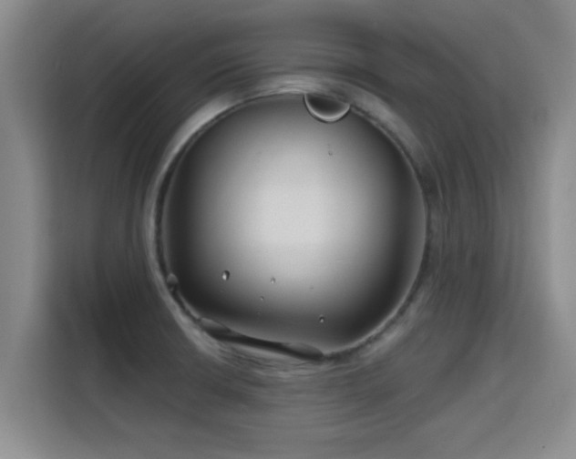 X0000115691426200911191105