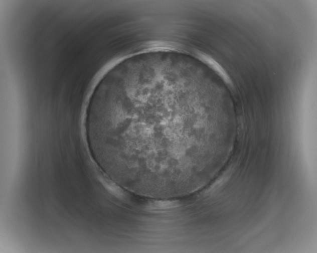 X0000115691427200911191105