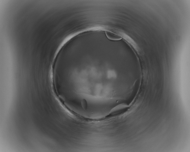 X0000115691428200911191105