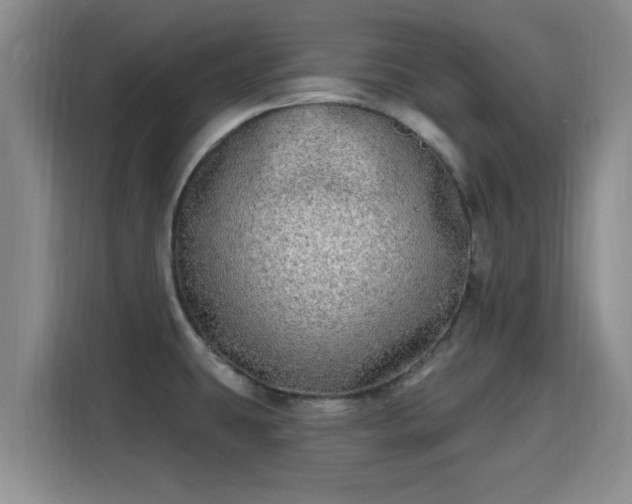 X0000115691431200911191105