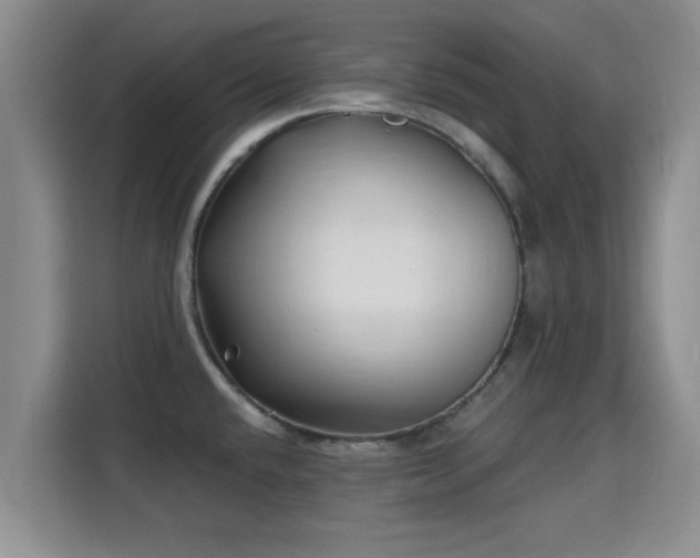 X0000115691432200911191105