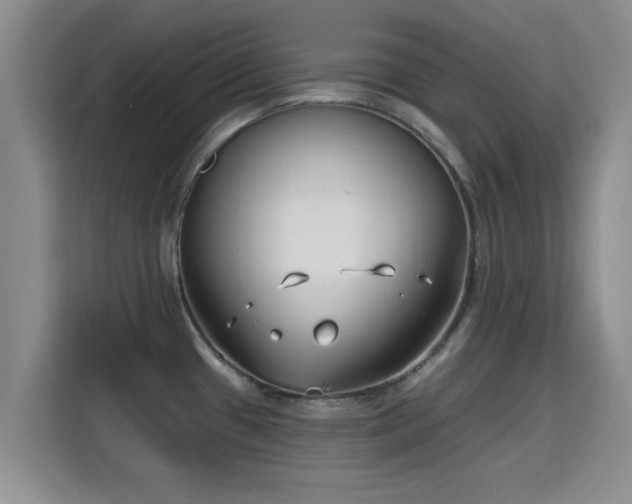 X0000115691433200911191105