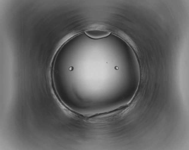 X0000115691434200911191105