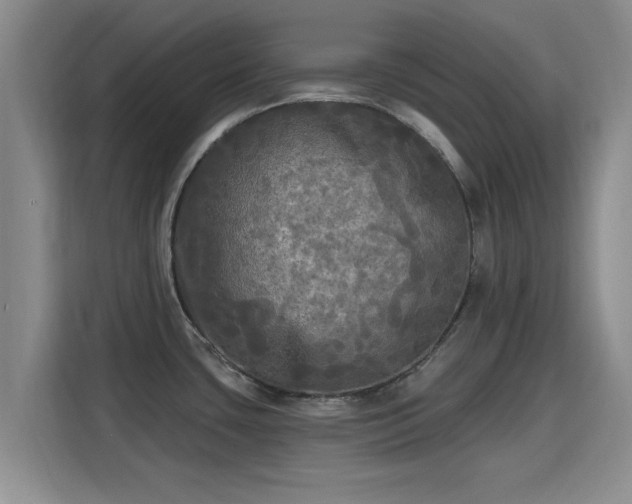 X0000115691435200911191105