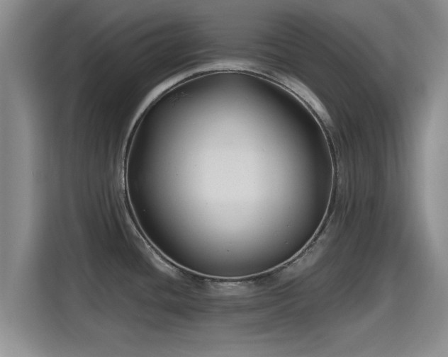 X0000115691436200911191105