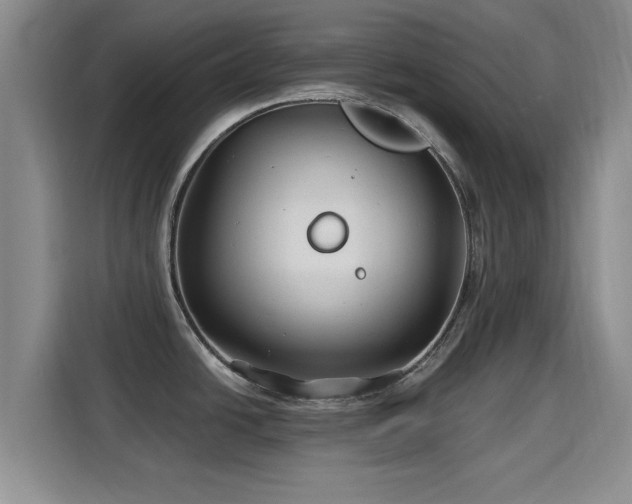 X0000115691438200911191105