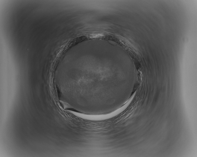 X0000115691441200911191104