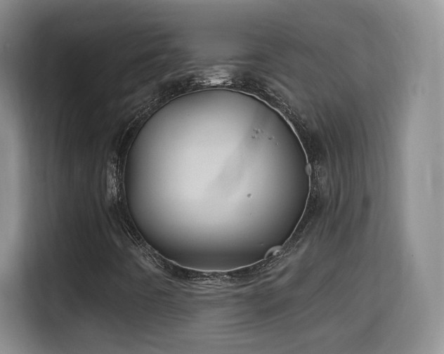 X0000115691442200911191104