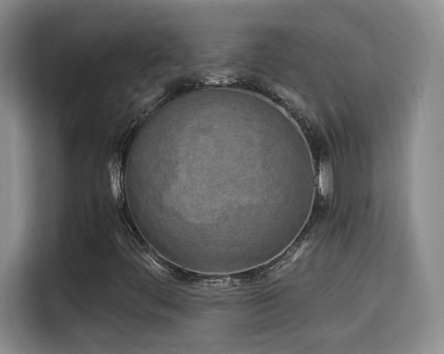 X0000115691444200911191104