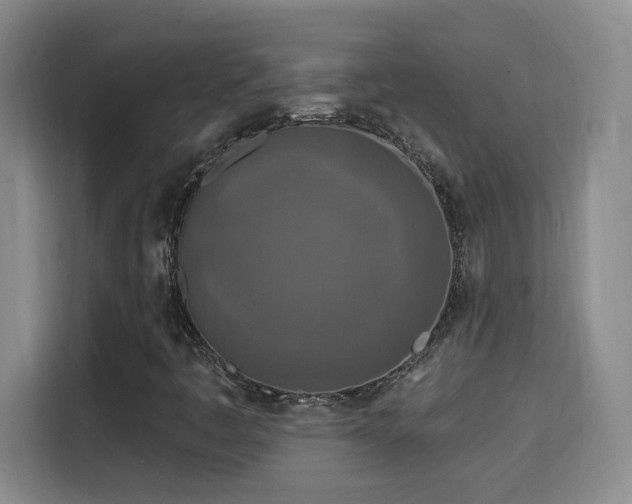 X0000115691445200911191104