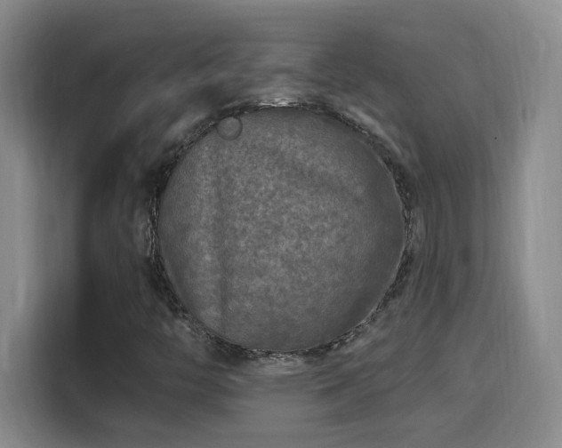X0000115691446200911191104