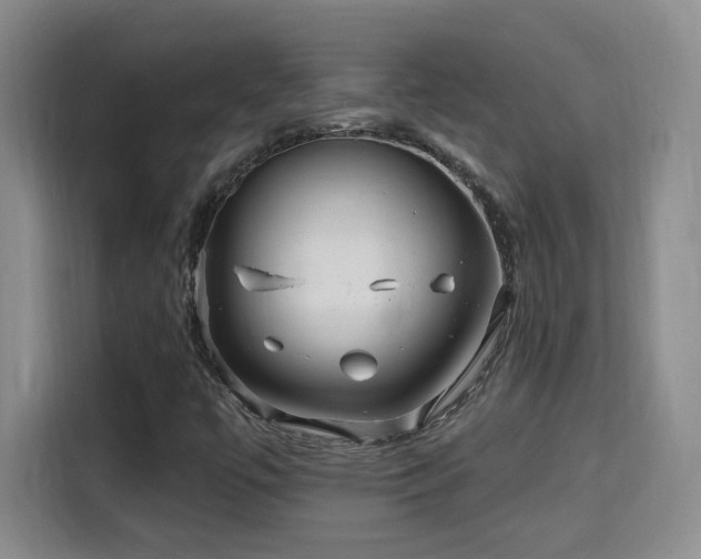 X0000115691447200911191104