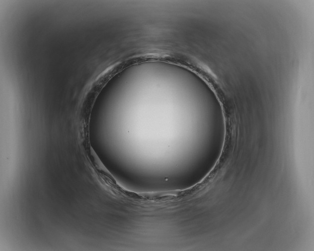 X0000115691448200911191104