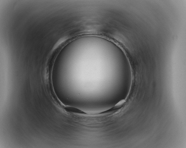 X0000115691450200911191104