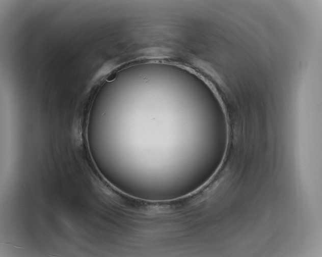 X0000115691451200911191104