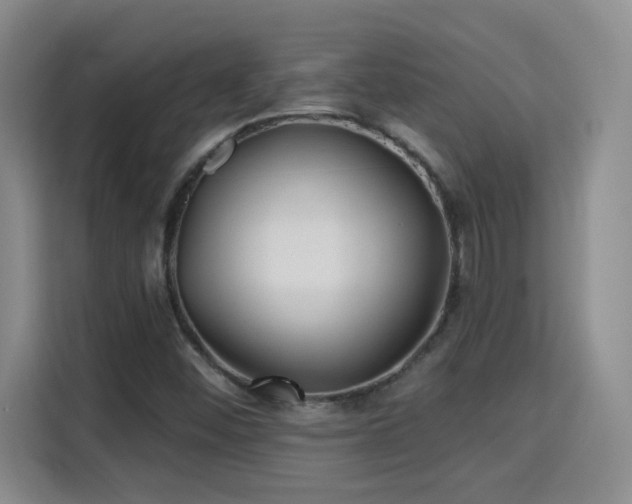 X0000115691452200911191104