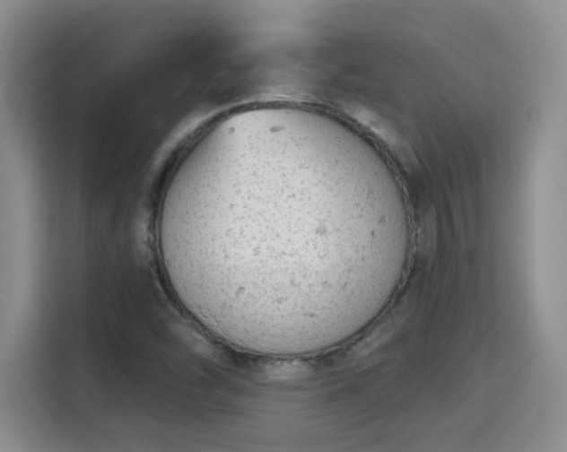X0000115691454200911191104