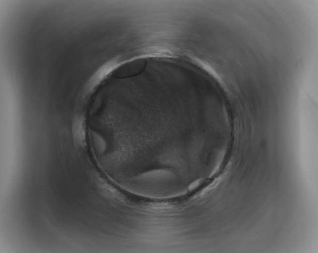 X0000115691455200911191104