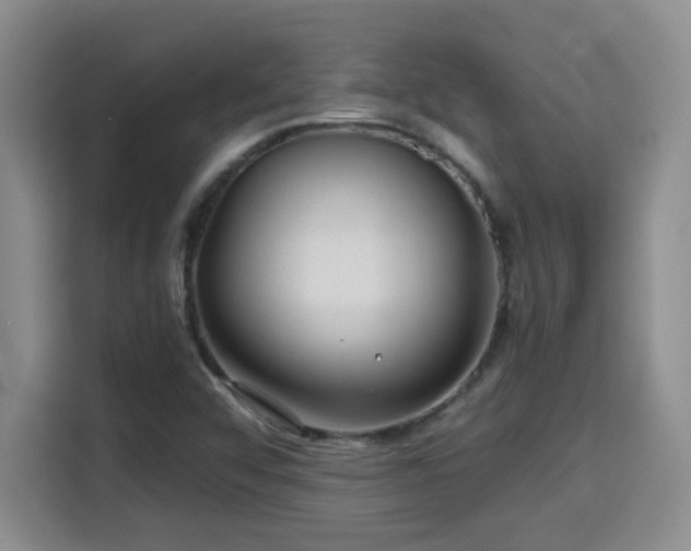 X0000115691456200911191104