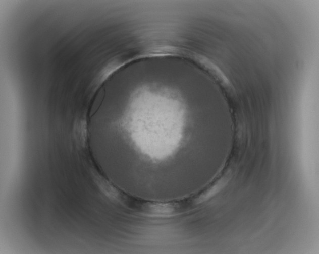 X0000115691457200911191104