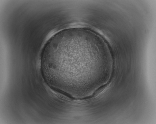 X0000115691459200911191104